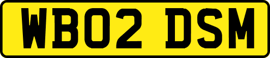 WB02DSM