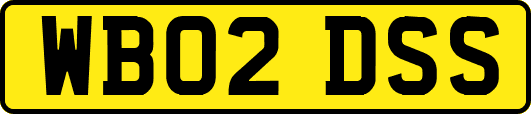 WB02DSS