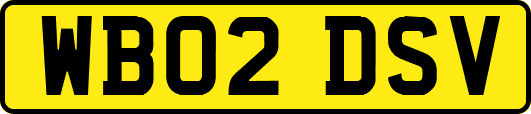 WB02DSV
