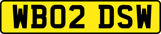 WB02DSW