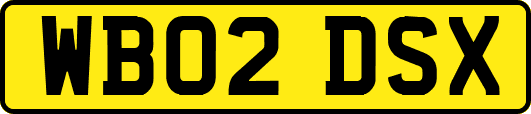 WB02DSX