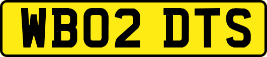 WB02DTS