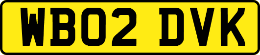 WB02DVK