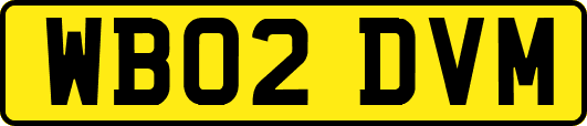 WB02DVM