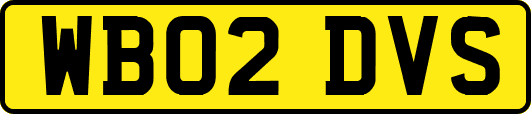 WB02DVS