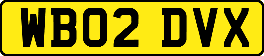 WB02DVX