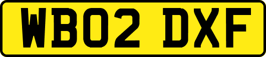 WB02DXF