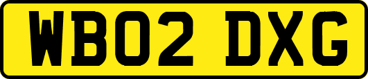 WB02DXG