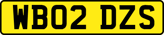 WB02DZS