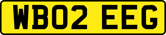WB02EEG