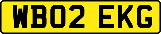 WB02EKG