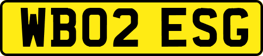 WB02ESG