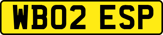WB02ESP