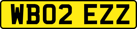 WB02EZZ
