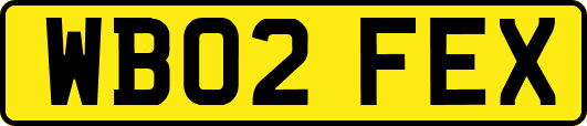 WB02FEX
