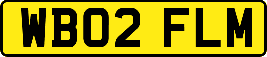 WB02FLM