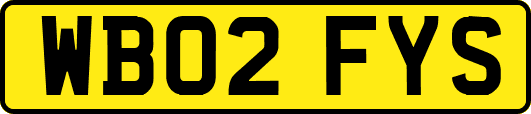 WB02FYS