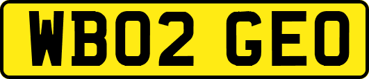 WB02GEO