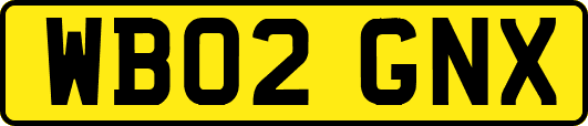 WB02GNX