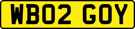 WB02GOY