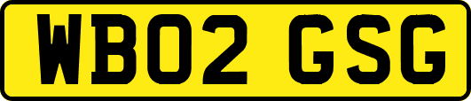 WB02GSG