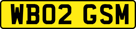 WB02GSM
