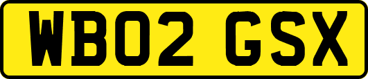 WB02GSX