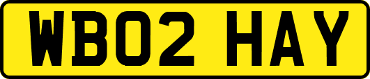 WB02HAY