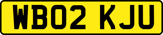 WB02KJU