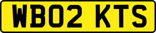 WB02KTS