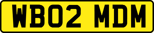 WB02MDM