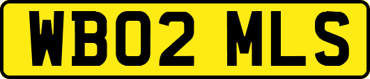 WB02MLS