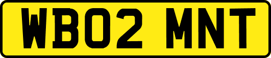 WB02MNT