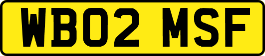 WB02MSF