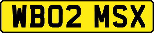 WB02MSX