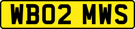WB02MWS