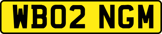 WB02NGM