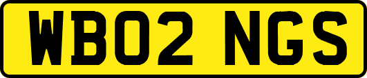 WB02NGS