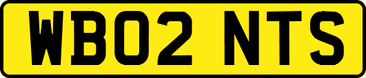 WB02NTS