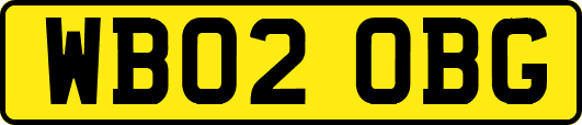 WB02OBG