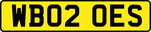 WB02OES