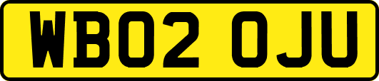 WB02OJU