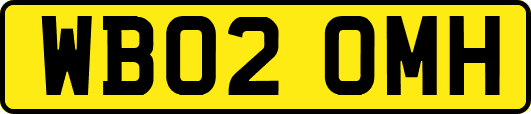 WB02OMH