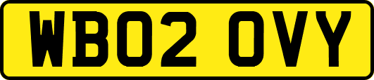 WB02OVY