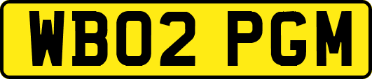WB02PGM