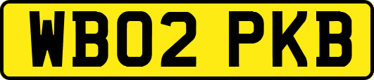 WB02PKB