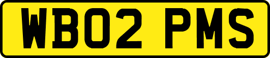 WB02PMS