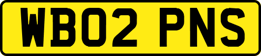WB02PNS