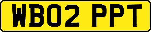 WB02PPT