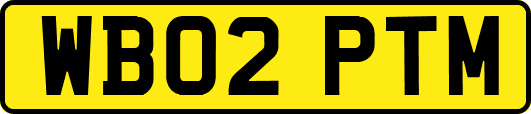 WB02PTM